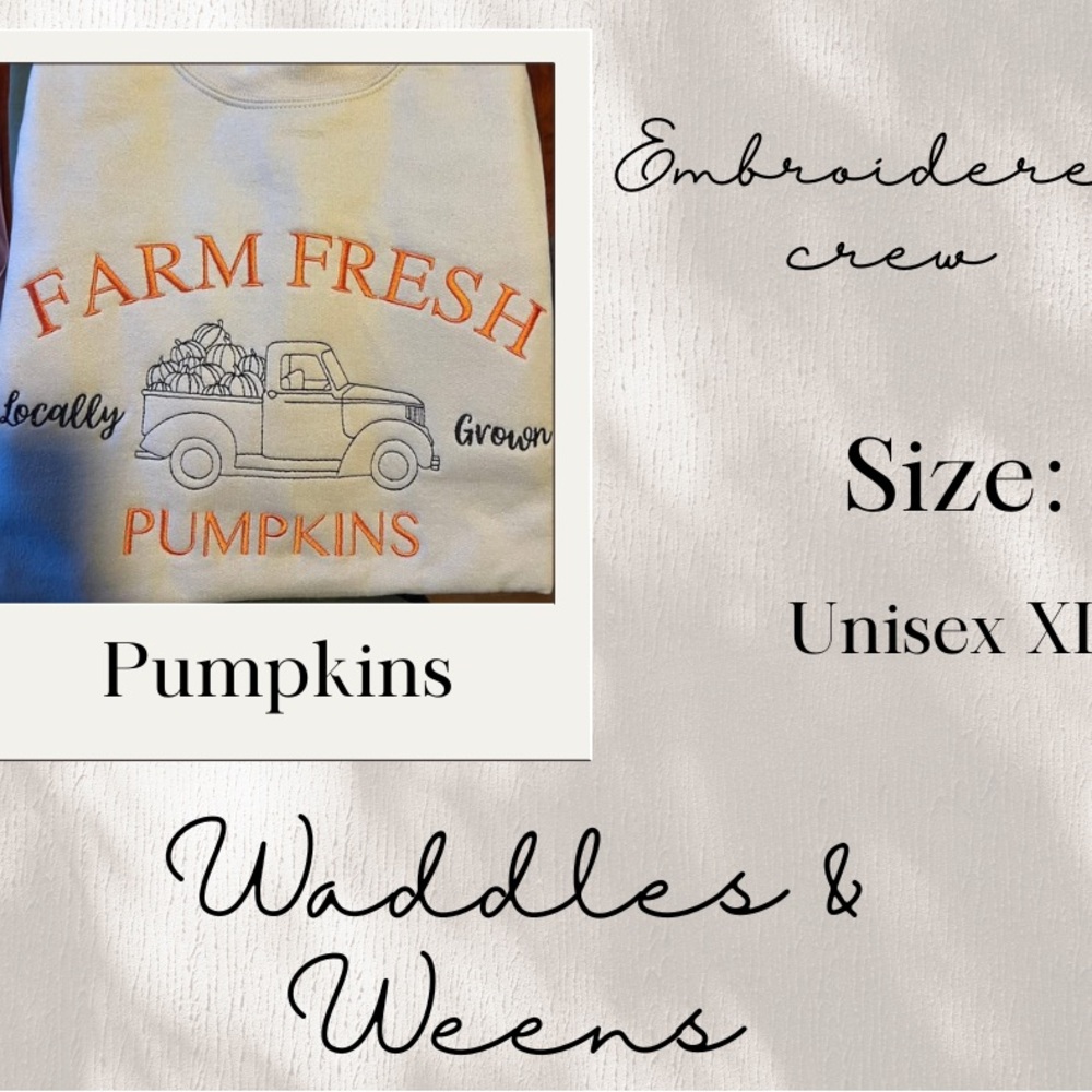 White Embroidered Sweatshirt